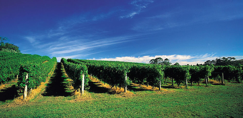 Waimauku Vineyard Cottages - Kumeu מראה חיצוני תמונה