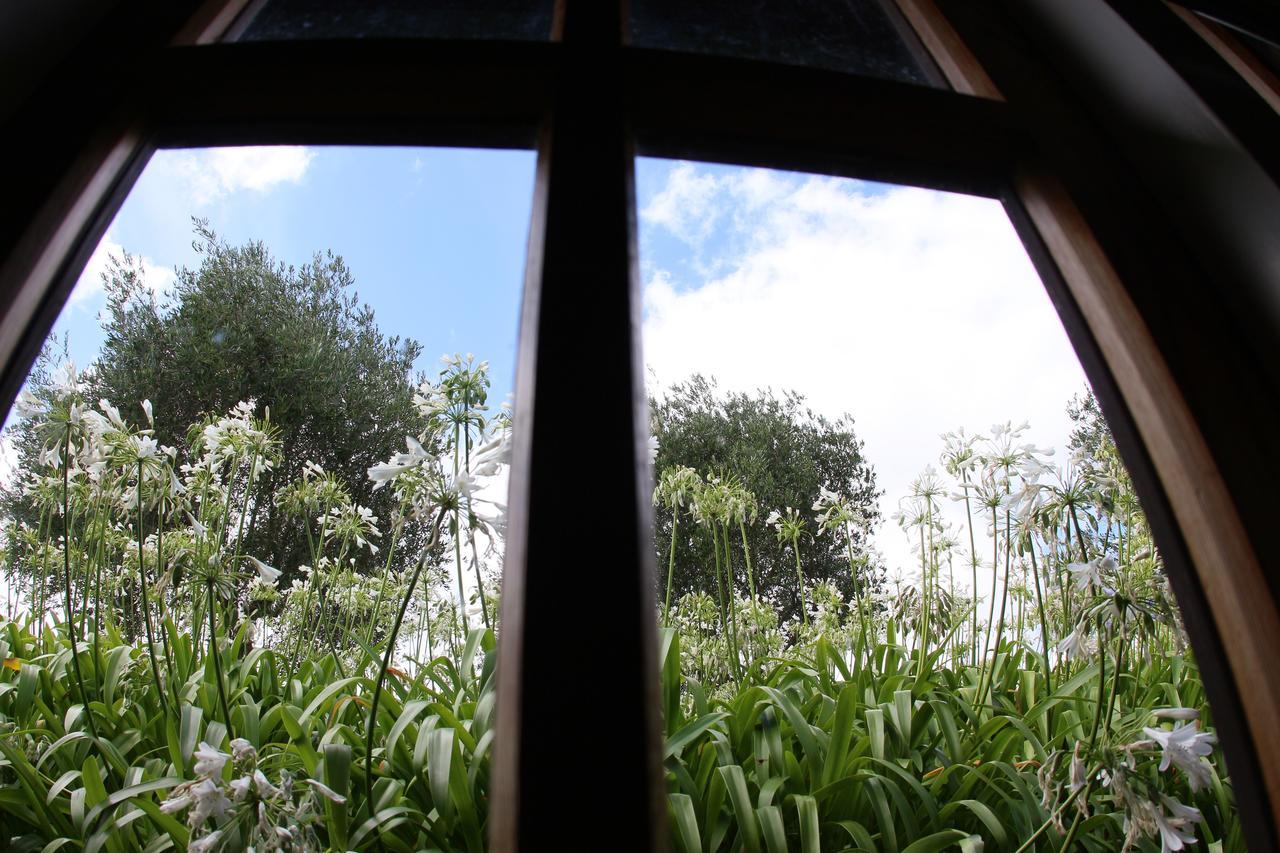 Waimauku Vineyard Cottages - Kumeu מראה חיצוני תמונה