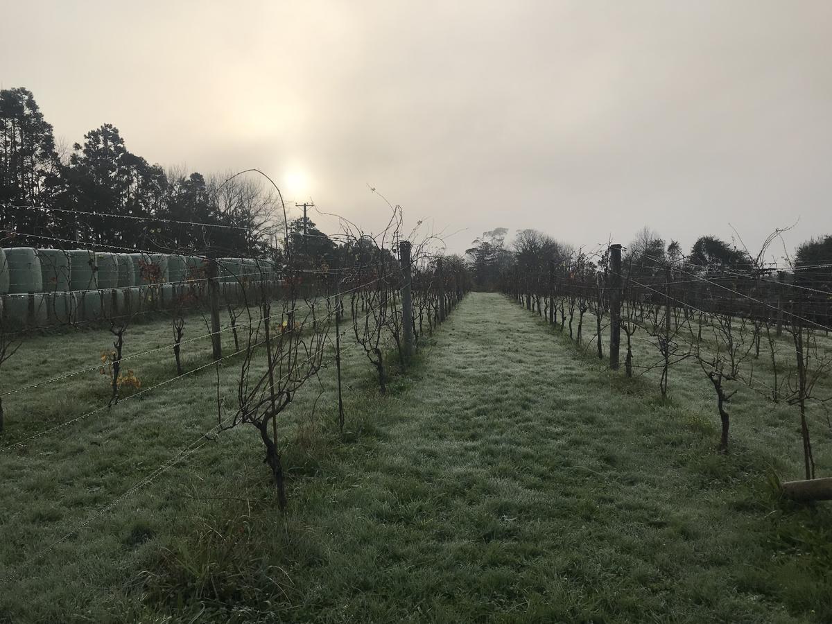 Waimauku Vineyard Cottages - Kumeu מראה חיצוני תמונה