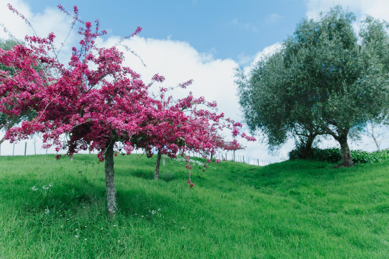 Waimauku Vineyard Cottages - Kumeu מראה חיצוני תמונה